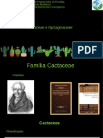 Cactaceas PDF Seminario
