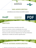 Aula 20 - Sistemas Agroflor - Experiencias Es