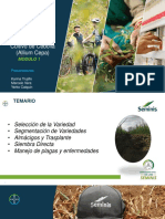 Charla Cebolla F 2021 pdf.pdf · versión 1 