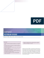 Vestibular Disease: Understanding Peripheral and Central Causes