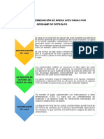 Técnica de Remediación Por Derrame de Petróleo