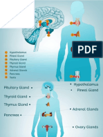 AL GRAWANY Medical Notes - Endocrinology