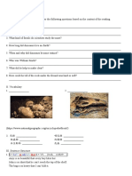 Lesson 01 Fossils