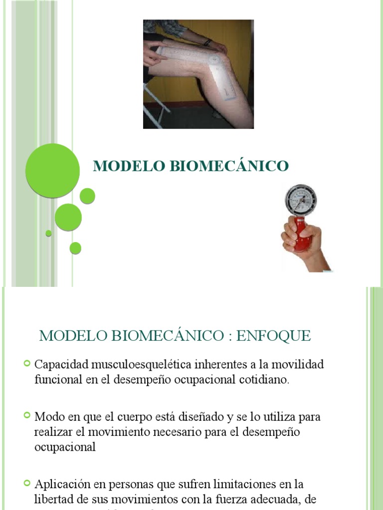 Modelo Biomecánico | PDF | Fuerza | Músculo