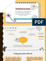 Actividad-Análisis de Artículo