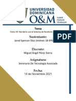 Tema VII Nombres Con El Sistema de Nombres de Dominios