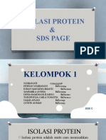 Isolasi Protein & Sds Page