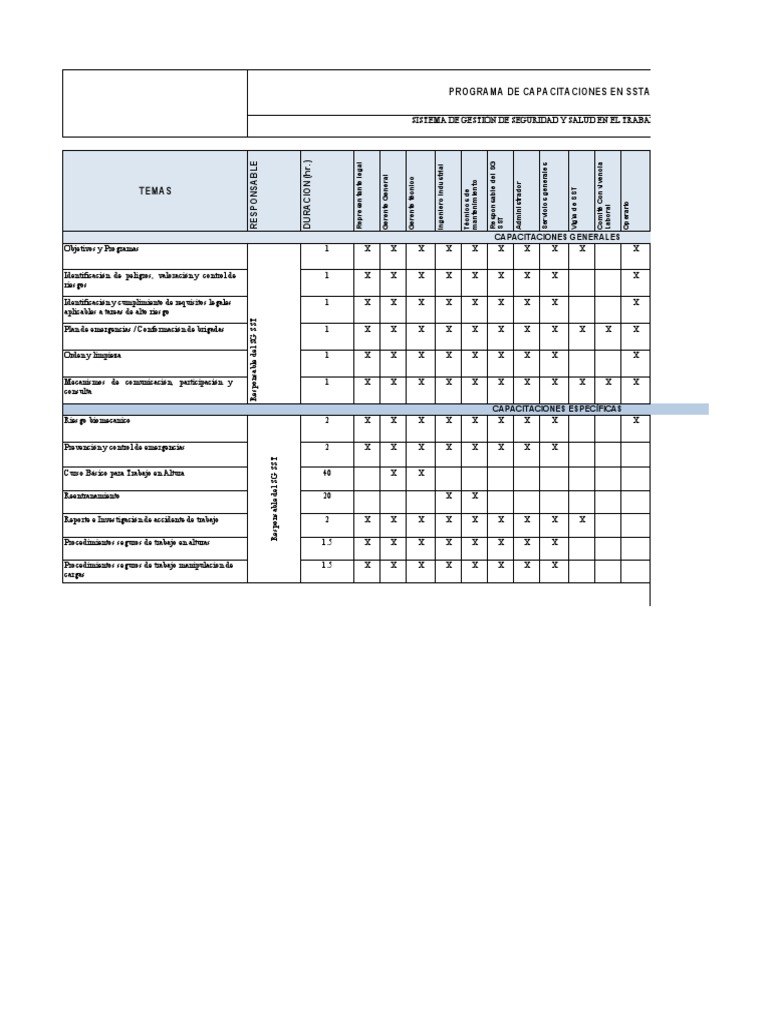 Programa de Capacitación SG SST Excel | PDF