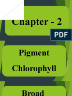 Chapter 2 Vocab-1