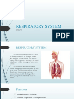 Respiratory System: Group 5