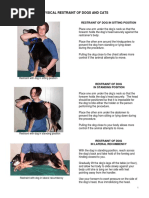 Animal Restraint For Vet Techs | PDF | Anatomical Terms Of Location | Vein