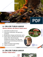 BAB 6 Jamur (Fungi)