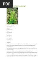 Download LUMUTDAUNbySitiAfifahDianiraHasibuanSN54123670 doc pdf