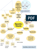 Formación de disacáridos por condensación de monosacáridos