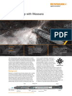Digging Deep With Wassara: Case Study