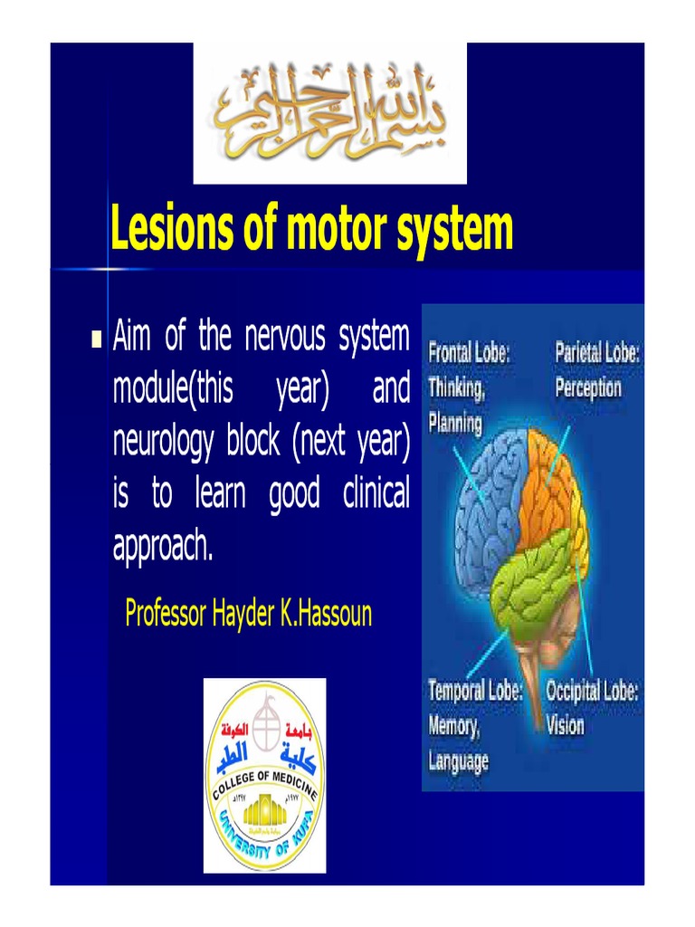 Lesions of Motor System Lesions of Motor System: Professor Hayder K ...