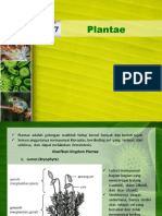 Plantae