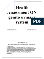 Health Assessment ON Genito Urinary System: Submitted To: Submitted by