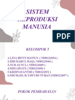 Sistem Reproduksi Manusia