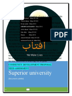 Superior University: Executive Summary