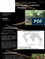 Ecosistemas Y Cambio Climático - Manglares - : Integrantes