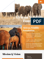 African Wildlife Conservation