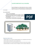 Reducerea Hartiei in Scoli - CCDG 2018