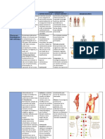 Cuadro Comparativo