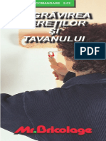 Zugravirea Peretilor Si Tavanului