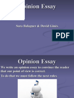 Opinion Essay