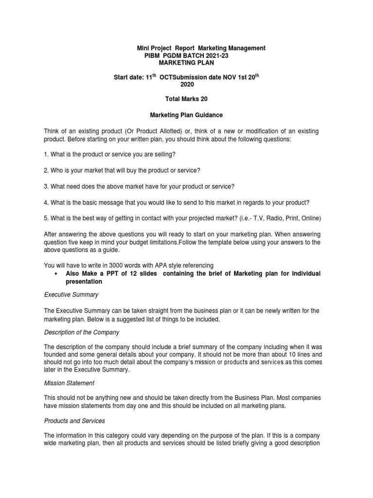 Mini Marketing Plan for E-Cafe | PDF | Marketing | Internet