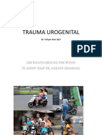 Trauma urogenital 