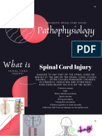 Pathophysiology: Traumatic Spinal Cord Injury