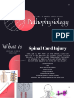 Spinal Cord Injury Pathophysiology