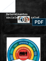 Determinantes Sociales de La Salud