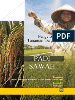 PTT Padi Sawah