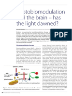Photobiomodulation and The Brain - Has The Light Dawned?