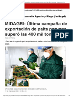 MIDAGRI - Última Campaña de Exportación de Palta Peruana Superó Las 400 Mil Toneladas - Gobierno Del Perú