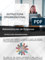 Estructura Organizacional