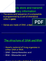 Nucleic Acids Store and Transmit Hereditary Information