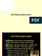 MB Lecture 9