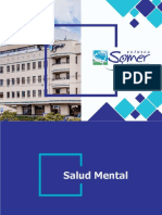 Salud Mental-Somer