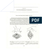 286951059 18 Interventii Chirurgicale Pe Vase Si Nervi PDF