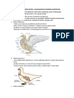 Ptaki - Przystosowania W Budowie Wewnętrz.