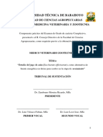 Documento Tribunal Final