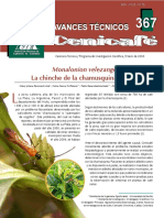 La Chinche PDF