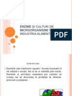 Enzime Și Culturi de Microorganisme În Industria Alimentară