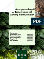 Pertemuan 6