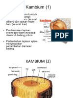 Pertemuan 2