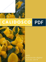 Calidoscopio 2019 4